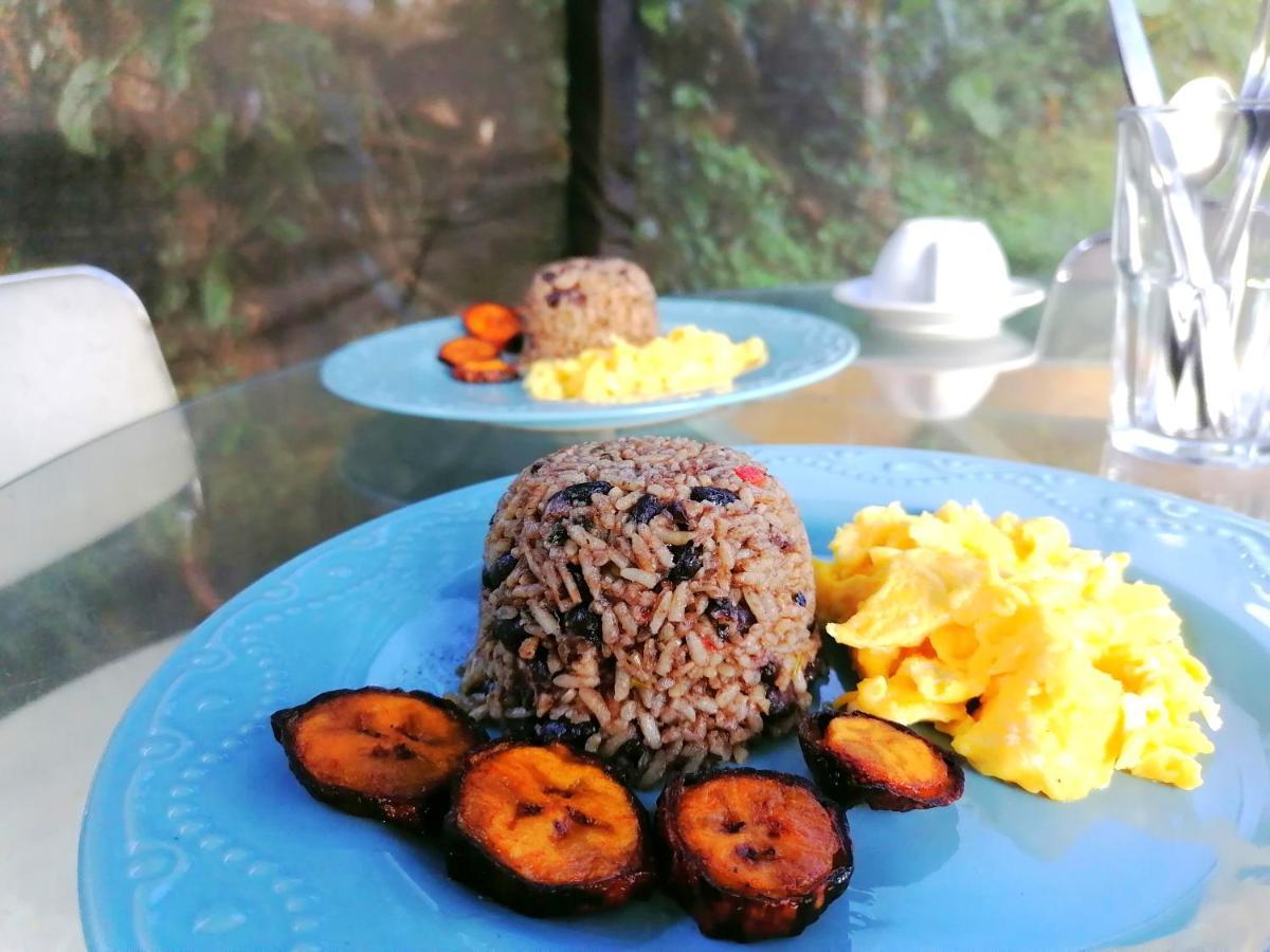 Rustico Arenal B&B La Fortuna Buitenkant foto
