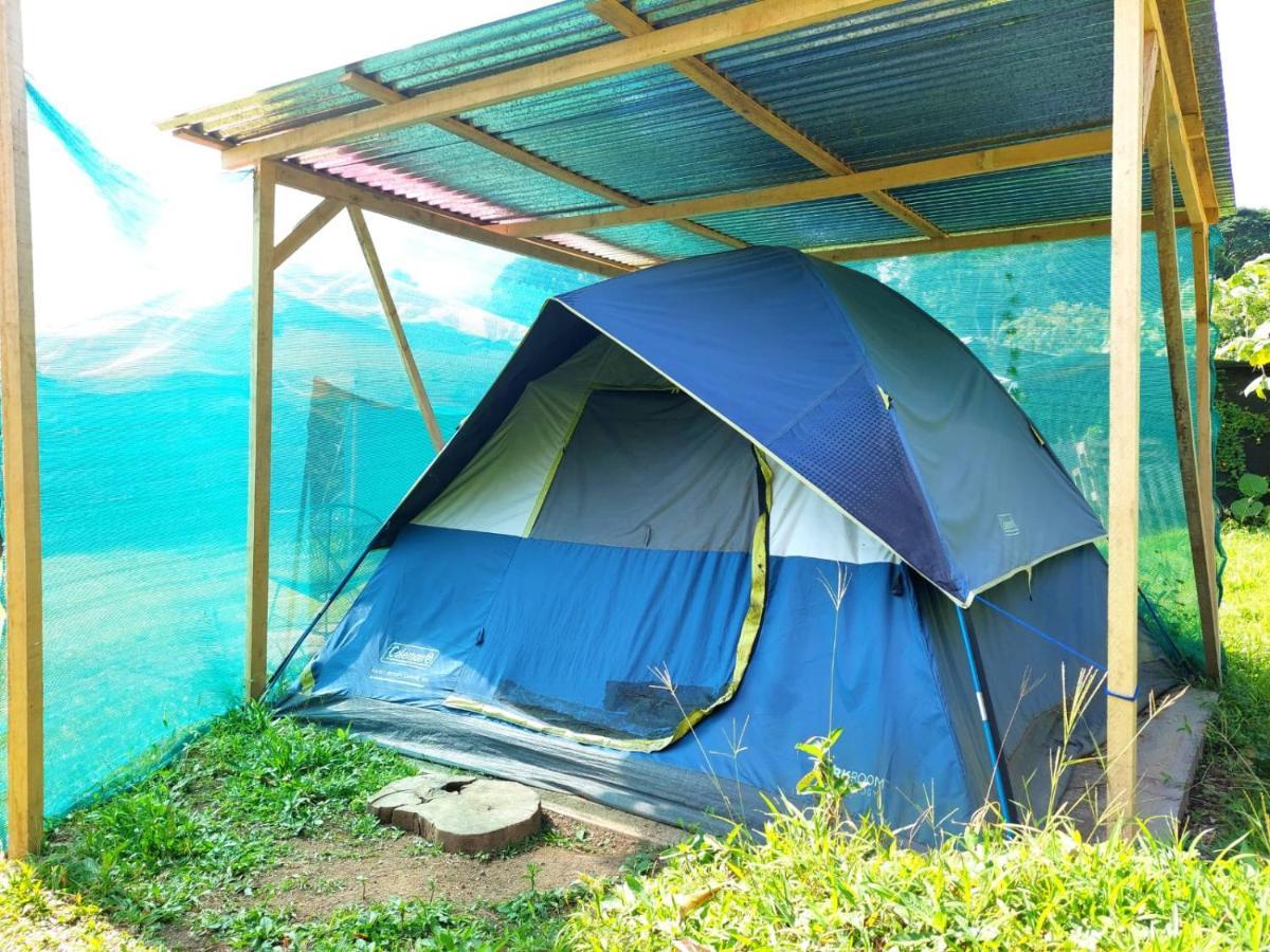 Rustico Arenal B&B La Fortuna Buitenkant foto
