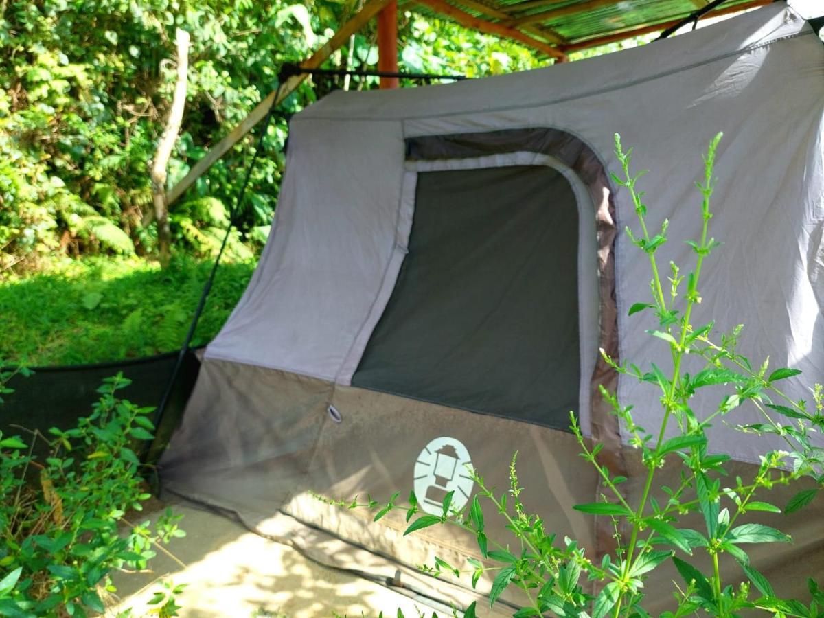 Rustico Arenal B&B La Fortuna Buitenkant foto