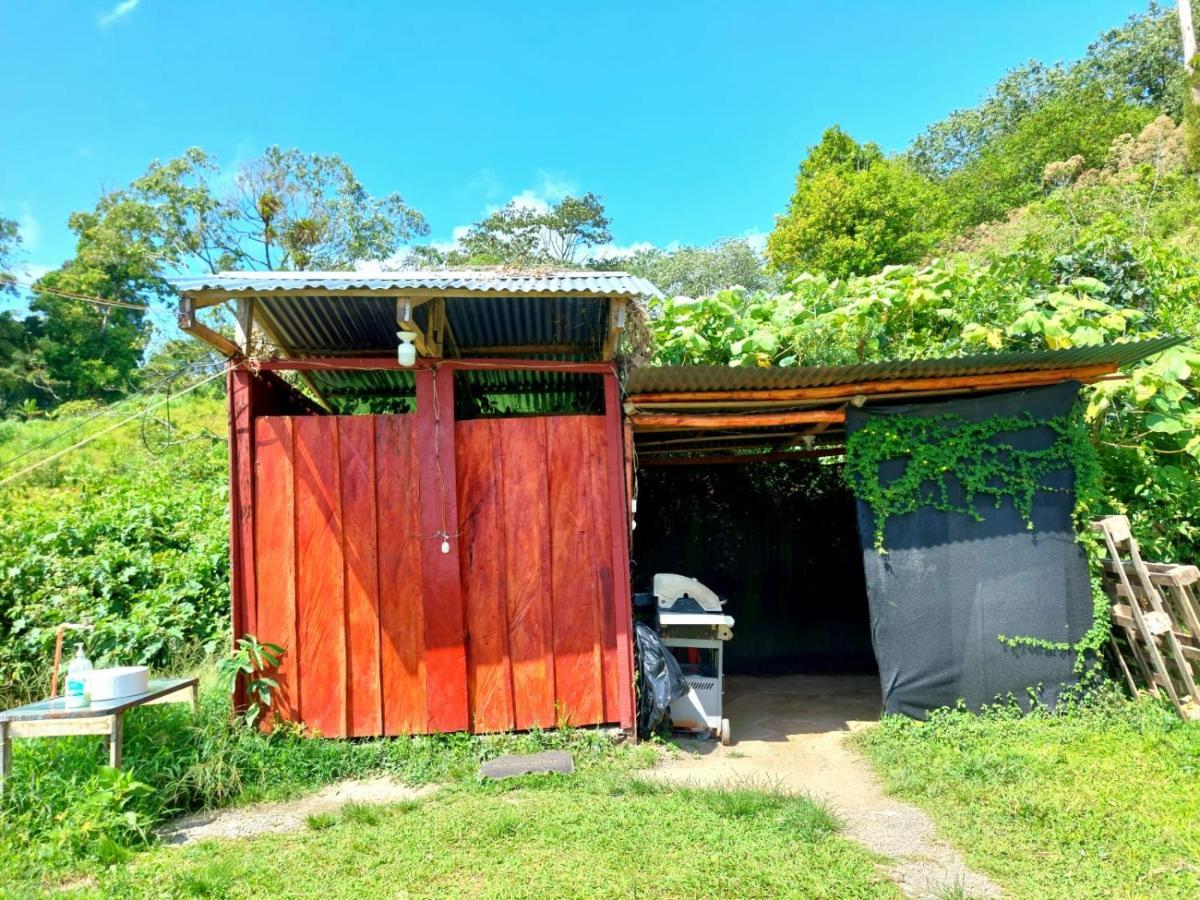 Rustico Arenal B&B La Fortuna Buitenkant foto
